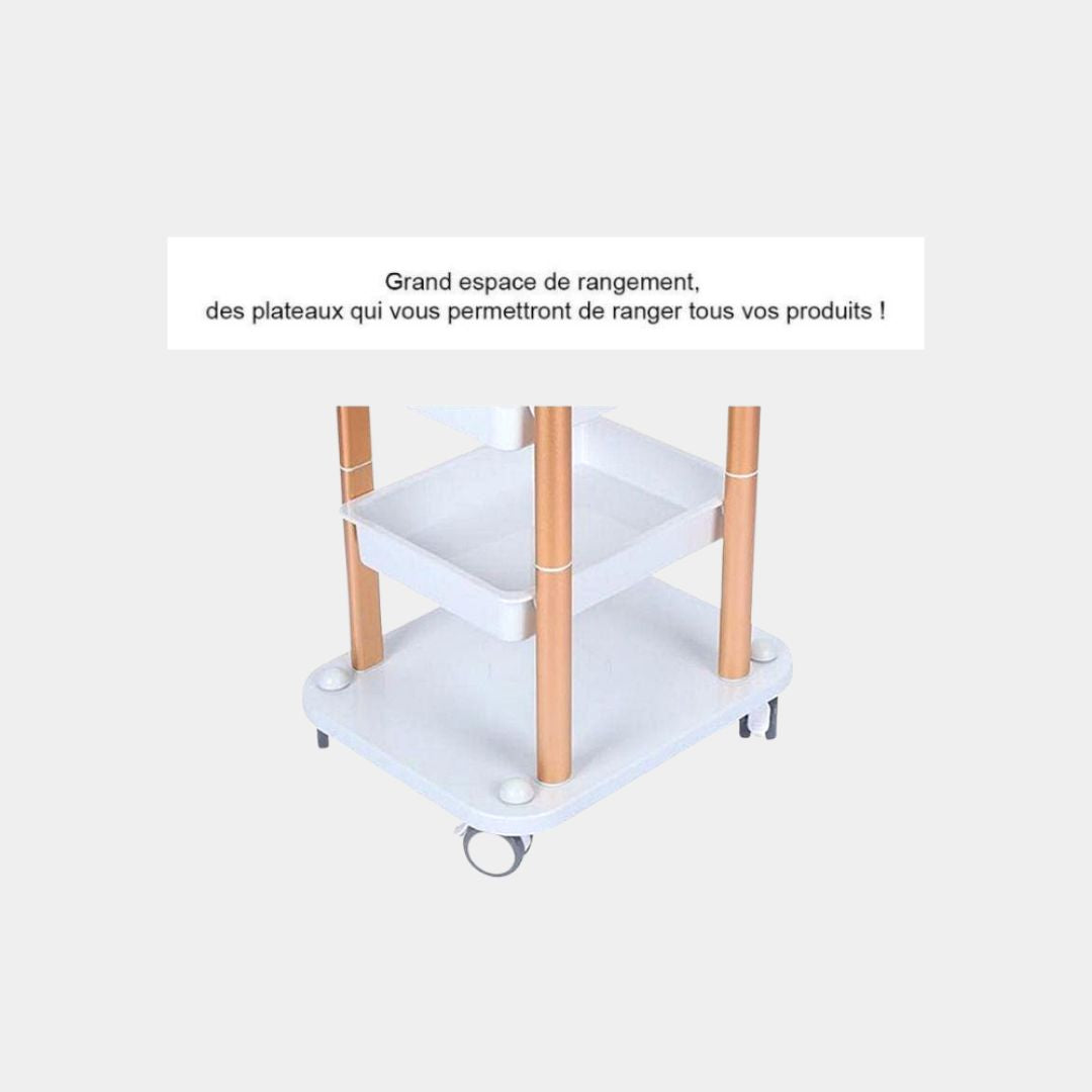 Chariot pour appareil d'instituts de beauté, chariot professionnel