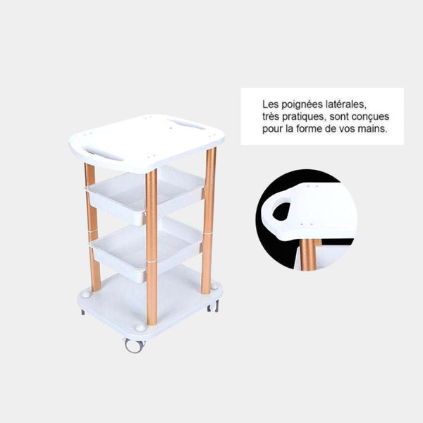 Chariot pour appareil d'instituts de beauté, chariot professionnel